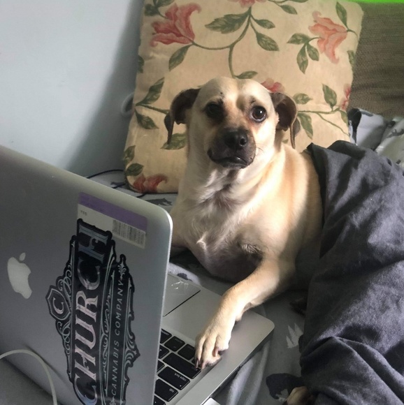 Meet your Posher, Alexis - Picture 1 of 1